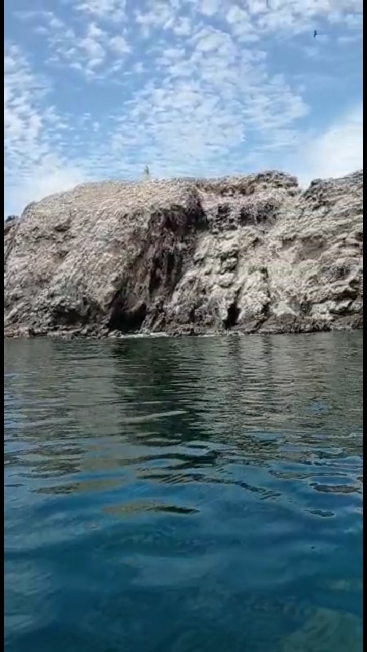 Fotos del Buceo por la Isla Margarita